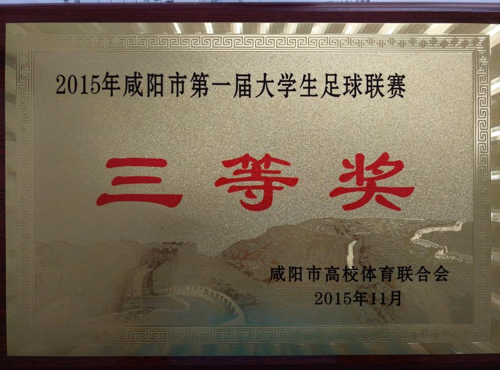 ​咸阳市第一届大学生足球赛三等奖