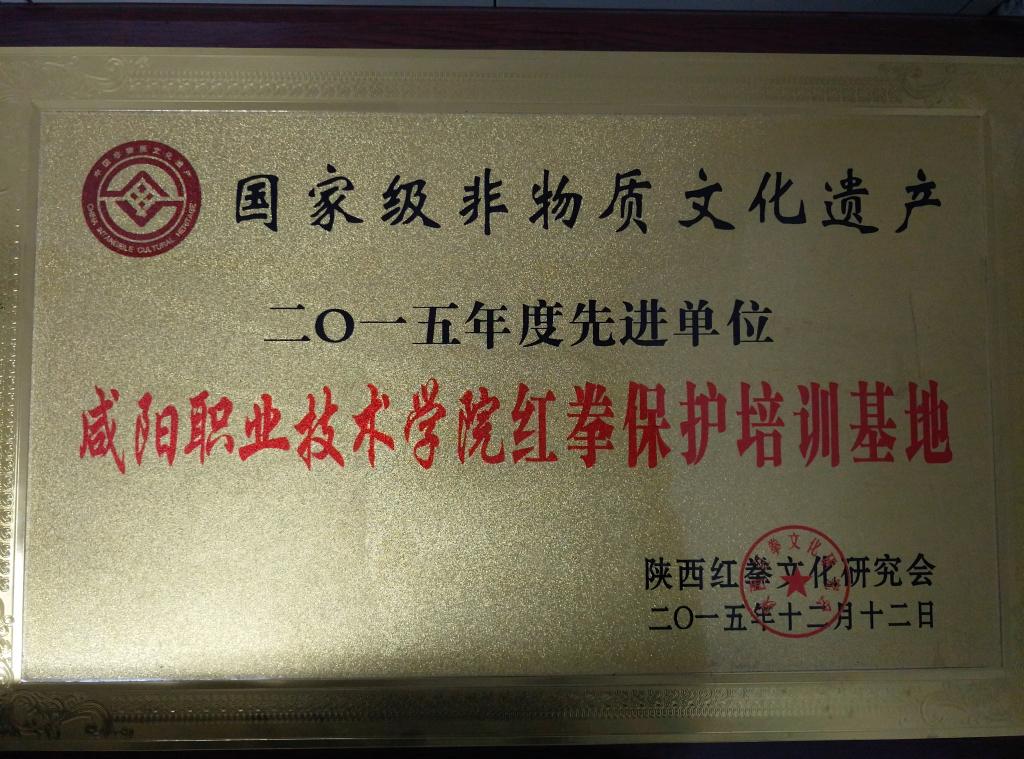 我院被评为2015年红拳培训保护先进单位