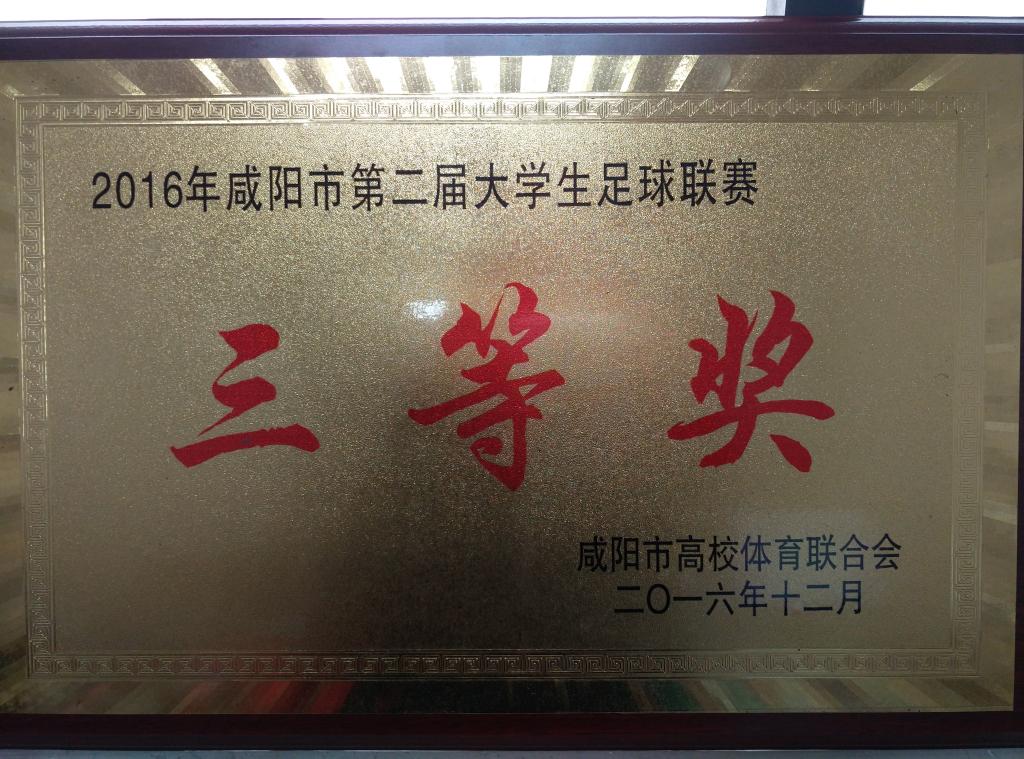 ​咸阳市第二届大学生足球赛三等奖