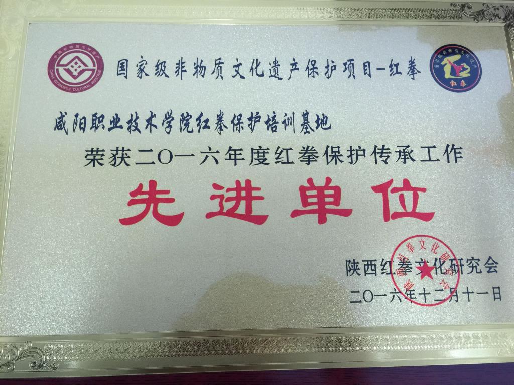 集团红拳保护基地荣获2016年传承工作优秀单位